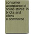 Consumer Acceptance of Online Stores' in Bricks and Clicks E-commerce