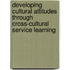 Developing Cultural Attitudes Through Cross-cultural Service Learning