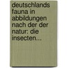 Deutschlands Fauna In Abbildungen Nach Der Der Natur: Die Insecten... by Charles Sturm
