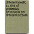 Different Exotic Strains Of Pleurotus Ostrreatus On Different Strains