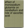 Effect of Monosodium Glutamte on Cerebellum and Role of Ascorbic Acid by Nesrin Salman