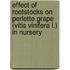 Effect of Rootstocks on Perlette Grape (vitis Vinifera L.) in Nursery