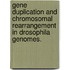 Gene Duplication and Chromosomal Rearrangement in Drosophila Genomes.