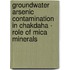 Groundwater Arsenic Contamination in Chakdaha - Role of Mica Minerals