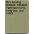 Life's Healing Choices: Freedom From Your Hurts, Hang-Ups, And Habits