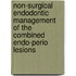 Non-Surgical Endodontic Management Of The Combined Endo-Perio Lesions