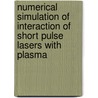 Numerical simulation of interaction of short pulse lasers with plasma door Amol Holkundkar