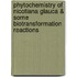 Phytochemistry of Nicotiana Glauca & Some Biotransformation Reactions