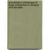 Privatization Challenges of Large Enterprises in Ukraine and Slovakia door Diana Sabluk