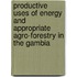 Productive Uses of Energy and Appropriate Agro-forestry in The Gambia