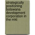 Strategically Positioning Botswana Development Corporation in the Mkt