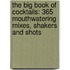 The Big Book Of Cocktails: 365 Mouthwatering Mixes, Shakers And Shots