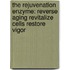 The Rejuvenation Enzyme: Reverse Aging Revitalize Cells Restore Vigor