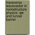 Transverse Wavevector In Nanostructure Physics: Qw And Tunnel Barrier