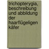 Trichopterygia, Beschreibung und Abbildung der haarflügeligen Käfer by C.J.F. Gillmeister