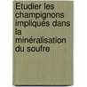 Étudier les champignons impliqués dans la minéralisation du soufre door Lama Hamdan