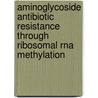 Aminoglycoside Antibiotic Resistance Through Ribosomal Rna Methylation door Miloje Savic