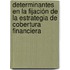 Determinantes en la fijación de la estrategia de cobertura financiera