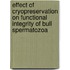 Effect of Cryopreservation on Functional Integrity of Bull Spermatozoa