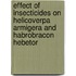 Effect of Insecticides on Helicoverpa armigera and Habrobracon hebetor
