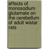 Effects of monosodium glutamate on the cerebellum of adult wistar rats door Aliu Olawale Lawal