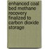 Enhanced Coal Bed Methane recovery finalized to carbon dioxide storage