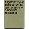 Fingerprinting of Pakistan wheat germplasms for stripe rust resistance by Sobia Tabassum