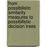 From Possibilistic Similarity Measures to Possibilistic Decision Trees door Ilyes Jenhani