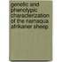 Genetic And Phenotypic Characterization Of The Namaqua Afrikaner Sheep