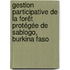 Gestion participative de la forêt protégée de Sablogo, Burkina Faso