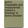 God Is Impassible and Impassioned: Toward a Theology of Divine Emotion door Rob Lister