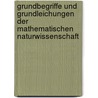 Grundbegriffe Und Grundleichungen Der Mathematischen Naturwissenschaft by Fischer Victor