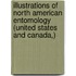 Illustrations of North American Entomology (United States and Canada,)