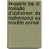 Imagerie Tep Et Maladie D'alzheimer: Du Radiotraceur Au Modèle Animal