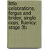 Little Celebrations, Fergus and Bridey, Single Copy, Fluency, Stage 3b
