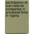 Participation Of Sub-National Companies In Privatized Firms In Nigeria