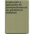 Producción Y Aplicación De Protopectinasa-se De Geotrichum Klebahnii