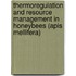 Thermoregulation and Resource Management in Honeybees (Apis mellifera)