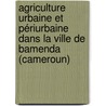 Agriculture Urbaine et Périurbaine dans la ville de Bamenda (Cameroun) by Thomas Tido