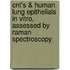 Cnt's & Human Lung Epithelials In Vitro, Assessed By Raman Spectroscopy