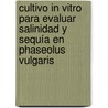 Cultivo in vitro para evaluar salinidad y sequía en Phaseolus vulgaris by MaríA. Luisa Cárdenas Avila