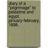 Diary of a "Pilgrimage" to Palestine and Egypt, January-February, 1898. by David Williams