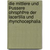 Die mittlere und Þussere OhrsphÞre der Lacertilia und Rhynchocephalia by Versluys