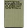 Marketingpraxis: Zielgruppenanalyse und Strategien zur Marktentwicklung door Sylvia Nemesch