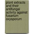 Plant extracts and their Antifungal Activity against Fusarium oxysporum