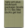 Rigby Pm Plus: Bookroom Package (levels 9-11) Two Little Ducks Get Lost by Rigby
