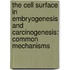 The Cell Surface in Embryogenesis and Carcinogenesis: Common Mechanisms