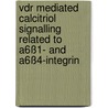 Vdr Mediated Calcitriol Signalling Related To A6ß1- And A6ß4-integrin door Eva Steidle