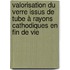 Valorisation du verre issus de tube à rayons cathodiques en fin de vie