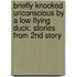 Briefly Knocked Unconscious by a Low-Flying Duck: Stories from 2nd Story